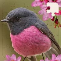 Rompecabezas de Pajaros