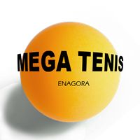 Mega Tenis