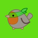 Bird Quiz - Lerne Vogelstimmen