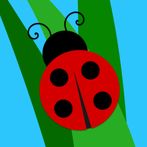 Peek-a-boo! baby and toddlers 