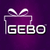 GEBO Game