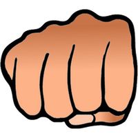 Fight Simulator Plus