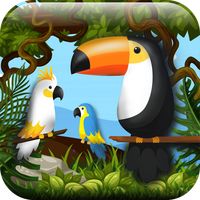 Hidden Pigeon Game Find Birds