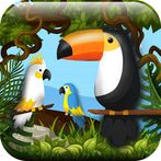 Hidden Pigeon Game Find Birds