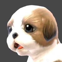 Brain Coach alpha lines