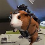 Needs Bigger Heroes G-Force