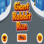 Giant Rabbit Run Expert Player
