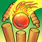 Cricket Bowling