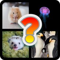 Guess the Animal