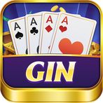 Gin Rummy - Offline Card Games