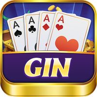 Gin Rummy - Offline Card Games