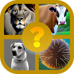 Animal Quiz Trivia Game