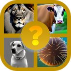 Animal Quiz Trivia Game