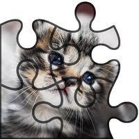 Cats puzzle