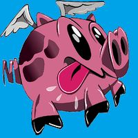 Flying Pig