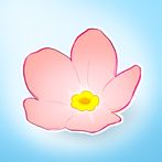블라썸 컴퍼니