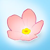 블라썸 컴퍼니
