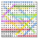 Word Search