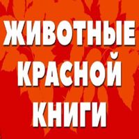 Животные красной книги