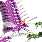 Ant Bridge Race