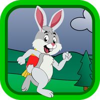 Rabbit Run 2021