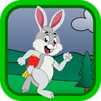Rabbit Run 2021