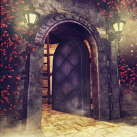 Rooms Escape Mystery Mission