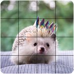 Jigsaw Tile Pets
