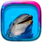 Picture Puzzle: Fishes