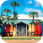 Brain games - What's the diffe