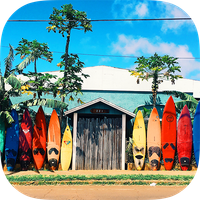 Brain games - What's the diffe