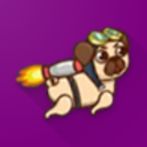 Pug Runner Game