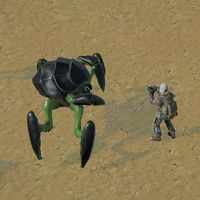 New Survival Shooter!