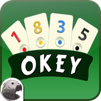 Okey (İnternetsiz)