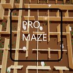ProMaze