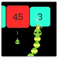 Snake Balls & Blocks Game