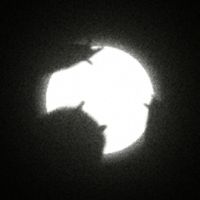 Three nights without sleep