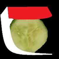 CuFlight AR EDUCATIONAL