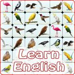 Onet Bird: Learn English