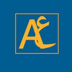 Egyptian Arabic & MSA Vocab Qu