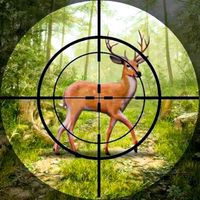 Jungle Deer Hunting Games 3D