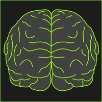 Brain Wizard - Mathematical br