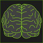 Brain Wizard - Mathematical br