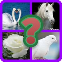 أربع صور وكلمة واحدة