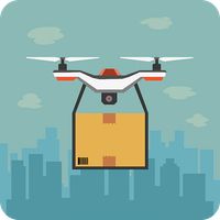 Drone Cargo