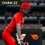 Real cricket 2022 Paradox