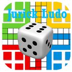 Jurick Ludo Offline Multi Play