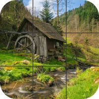 Forest Jigsaw Puzzle