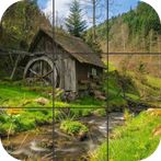 Forest Jigsaw Puzzle