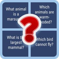 English ABC Quiz